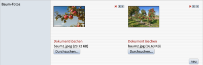 Formularelementtyp Dokument