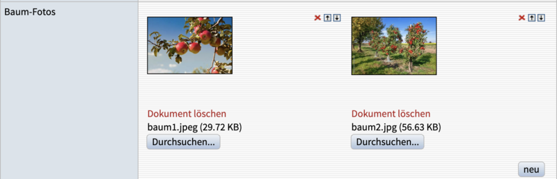 Datei:FormElementTyp Dokument.png